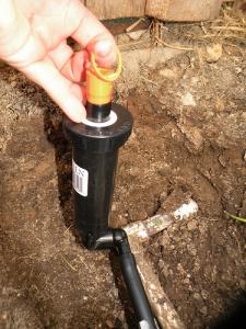 a new pop up head being installed by a Duncanville sprinkler repair specialist