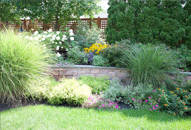 Healthy garden two weeks after a sprinkler repair in Duncanville, Texas